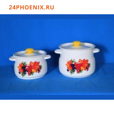 Набор посуды 10 Новокузнецк Смородина N10B23