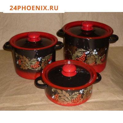 Набор посуды 16 Новокузнецк Рябинка N16L05