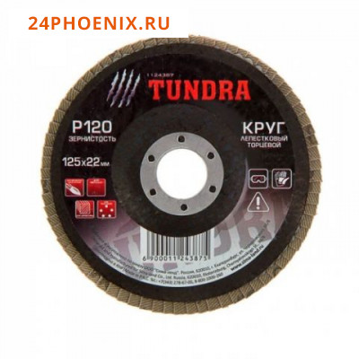 Круг лепестковый торцевой TUNDRA, 125 х 22 мм, Р60 /10/200/