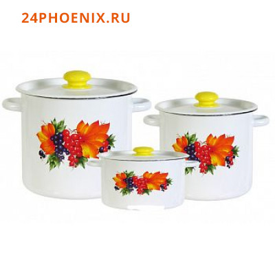 Набор посуды 16 Новокузнецк Смородина N16B23