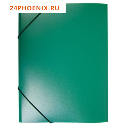 Папка на резинке А4 -PR05GRN 0.5мм зеленая, корешок 30мм (816781) Бюрократ {Россия}