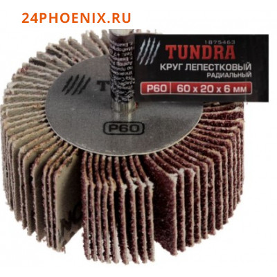 Круг лепестковый радиальный TUNDRA, 60 х 20 х 6 мм, Р60 /50/ (шт.)