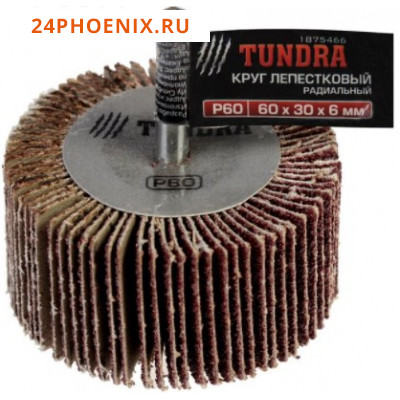 Круг лепестковый радиальный TUNDRA, 60 х 30 х 6 мм, Р60 /10/ (шт.)
