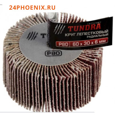 Круг лепестковый радиальный TUNDRA, 60 х 30 х 6 мм, Р80 /10/ (шт.)