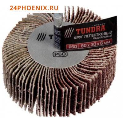 Круг лепестковый радиальный TUNDRA, 80 х 30 х 6 мм, Р60 /10/ (шт.)